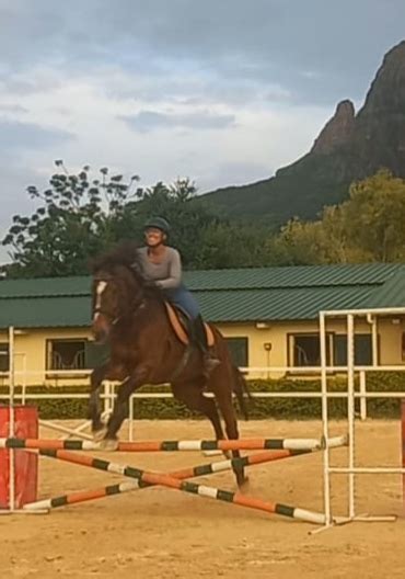 cavalia horse show 2023.